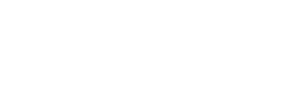 viStylus